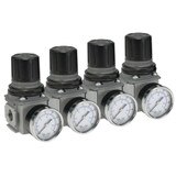 Metric Thread Compact Common Regulator- Global FRL - P32